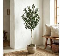 CASSILANDO Lifelike Fake Olive Tree 4FT 120cm Large Artificial Tree in Green CASSILANDO Green