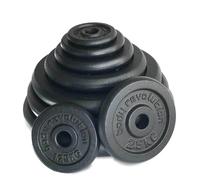 Cast iron discus Body Revolution 15kg (x2) 15 kg