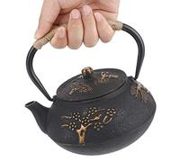 Cast Iron Teapot, Southern Kettle Pot Resistant Tea 0.9L Decoration