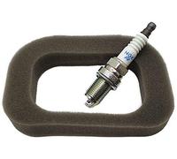 Castel Garden RS100 Sponge Air Filter & Plug Service Kit 118550704/0