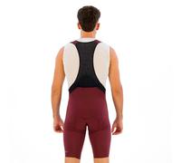 Castelli Premio Evo Bib Shorts M Dark Bordeaux / Blue Winter