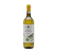 Castello di Tassarolo Gavi Spinola 2024 Certified Biodynamic