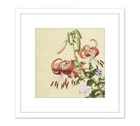 Castiglione Lilies Flower Plant Painting 8X8 Inch Square Wooden Framed Wall Art Print Picture with Mount Artery8 White One Size