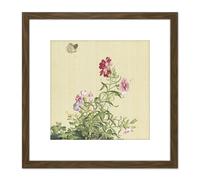 Castiglione Papaver Flower Moth Painting 8X8 Inch Square Wooden Framed Wall Art Print Picture with Mount Artery8 Brown One Size