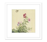 Castiglione Papaver Flower Moth Painting 8X8 Inch Square Wooden Framed Wall Art Print Picture with Mount Artery8 White One Size