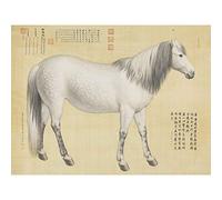 Castiglione Ruyicong Horse Ten Steeds Large Wall Art Print Canvas Premium Mural