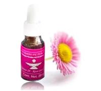 Castile Rose No. 1 / Percival Roses (20 ml) - Pack of 2 (Total 40 ml)