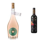 Castillo de Ibiza Pale Rose Wine, 75cl & Campo Viejo Rioja Winemaker's Art Red Wine, 75 cl
