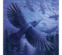 Casting Curses - Cold All Over Again [VINYL]