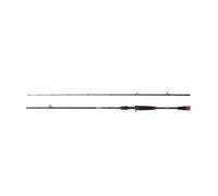 Casting rod Berkley Zilla Pike 15-60g Noir 1,98 m