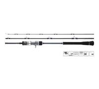 Casting rod Hearty Rise Skywalker Slow Jig Cast 170-340g Noir 1,91 m