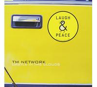 Castle in the Clouds