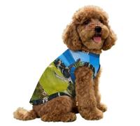 Castle Urquhart Soft Dog Vest Shirt Ice Silk Tank Top