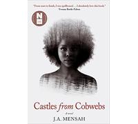 Castles from Cobwebs: Longlisted for the Desmond Elliott Prize