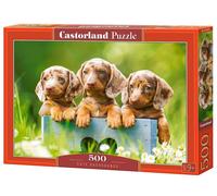 Castorland 500 Piece Jigsaw Puzzles, Cute Dachshunds, Animal Puzzle, (US IMPORT)