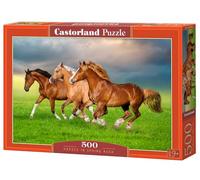 CASTORLAND 500 Pieces Jigsaw Puzzles, Horses in Spring Raste, Animal Puzzles, Power and Beauty Moving, Adult Puzzle, B-54084