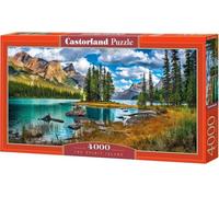 Best Jigsaw Puzzle 300-4000 pcs Castorland Various Styles Available Gift Hobby