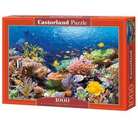 Castorland CSC101511 Hobby Panoramic Coral Reef Fishes Jigsaw Puzzle, 1000 Piece
