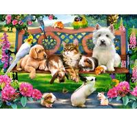 Pets in the Park