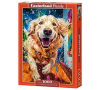 Castorland Jigsaw Puzzle 1000 Pieces: Euphoric Spectrum