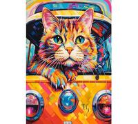 Cat Bus Travel