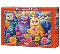Castorland puzzle animals - Flower Owl Meeting 3000 pieces jigsaw puzzle