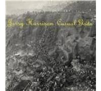 Casual Gods by Jerry Harrison