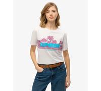 Superdry Outdoor Stripe Relaxed Short Sleeve T-shirt White L Woman