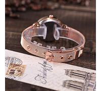 Casual Watch Quartz Stainless Watch Wrist Strap Analog Women's Watch No Battery Watches (Rose Gold, One Size)