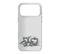 Casual Yoga Acrobatics Ravens & Calisthenics Workout Crows Case for iPhone 17 Pro Max