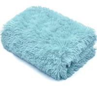 CASVO Ultra Soft Cuddles Throws Hug & Snug Blanket Long Pile Fluffy Fleece Sherpa Throw Plush Blanket for Sofa Bed & Travel Warm Lightweight Multipurpose Large Blanket Double-150x200cm (Duck Egg)