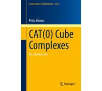 CAT(0) Cube Complexes : An Introduction