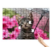 Cat 1000 Piece Jigsaw Puzzles for Adults, Umbrella Jigsaw Puzzle Educational Games, Colourful Fun Puzzles with Box, Challenging & Brainteasing for The Whole for Men, Home Decor Gifts for Women B-9