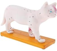 Cat Acupuncture Model, With 36 digitally labeled acupuncture points, the right half shows the anatomical surface, Animal Anatomy Model, for Acupuncture Moxibustion & Vet Training