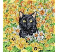 Cat Amongst The Flowers , 18x18cm Crystal Art Card