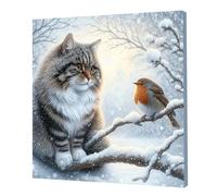 Cat and Bird Full DIY 5D Round Drill Gem Art Diamond Painting Kits with Frame 9.84x9.84in Diamond Art Kits for Adults/Beginners Gift Idea Home Wall Decor