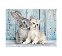 Cat and Bunny