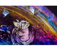 Cat and Butterflies