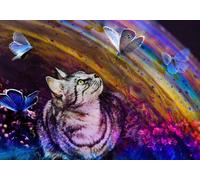 Cat and Butterflies