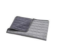 Cat and Dog Cooling Mat, Small Reversible Quilted Ice Silk Bed Pad with Bound Edges, Foldable Summer Crate Carrier Sofa Floor Cover for Indoor Outdoor Travel Use, 30 x 40 cm