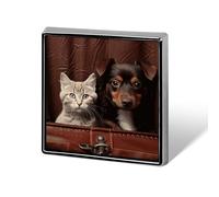 Cat And Dog Sitting in Leather Pocket Lapel Pin Fashion Brooch Pin Cute Button Badges Square Button Pins Enamel Pins Metal Pinback for Hat Shirt Clothing Bags Decoration