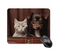 Cat and Dog Sitting in Leather Pocket Mouse Pad 20 * 25cm - Non-Slip Rubber Base Mouse Mat Portable Square Desk Mat for Office, Laptop, Travel, Wireless Mice Mats - Waterproof & Durable Design