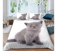 Cat Animals Single Duvet Cover Set Cute Pets Bedding Single Bed Set 3D Print Soft Comfort Microfiber Quilt Cover 135x200 cm with Zipper Closure and 2 Pillowcases Z.1189