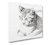Cat at Peace by Jean Bernard Canvas Print | Gallery Wrapped 30mm Frame Wall Art | 20x20 inches | Ready to Hang | Modern Animals Picture | Living Room Bedroom Lounge Office