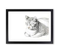 Cat at Peace by Jean Bernard Framed Print | A2 Black Framed Wall Art | Ready to Hang | Modern Animal Picture | Living Room Bedroom Lounge Office