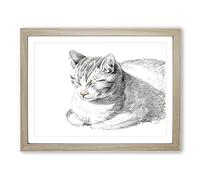 Cat At Peace By Jean Bernard Vintage Framed Wall Art Print, Ready to Hang Picture for Living Room Bedroom Home Office Décor, Oak A3 (46 x 34 cm)