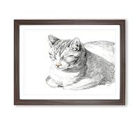 Cat At Peace By Jean Bernard Vintage Framed Wall Art Print, Ready to Hang Picture for Living Room Bedroom Home Office Décor, Walnut A4 (34 x 25 cm)