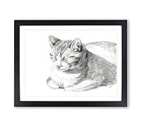Cat At Peace By Jean Bernard Vintage Framed Wall Art Print, Ready to Hang Picture for Living Room Bedroom Home Office Décor, Black A4 (34 x 25 cm)