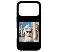Cat At The Blue Mosque Istanbul Case for iPhone 17 Pro