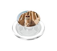 Cat At The Luxor Temple PopSockets PopGrip for MagSafe